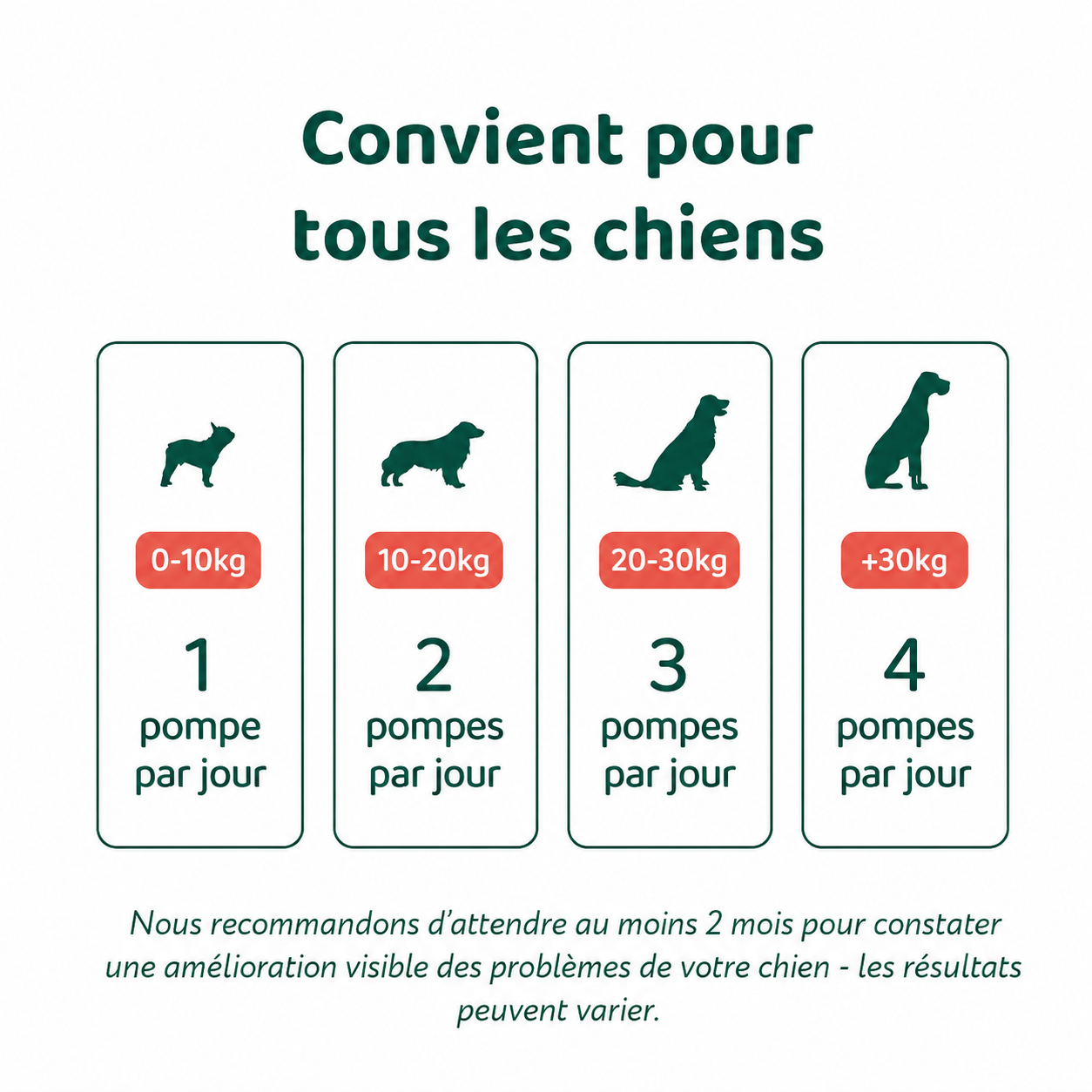 Huile de graines de chanvre 250 ml – Image 2