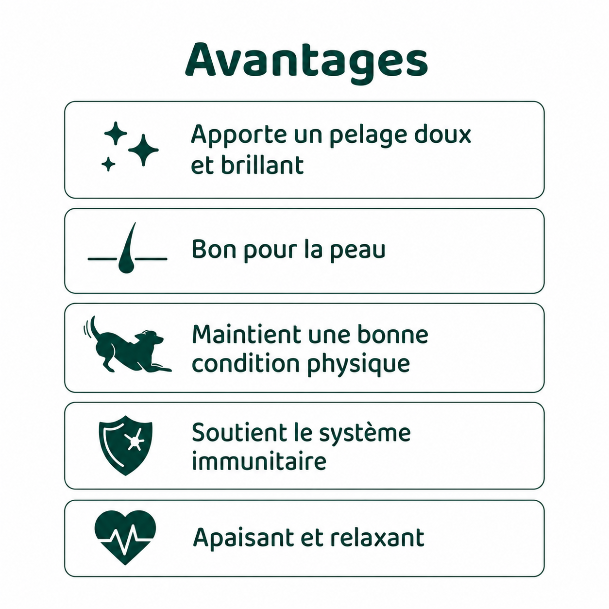 Huile de graines de chanvre 250 ml – Image 3