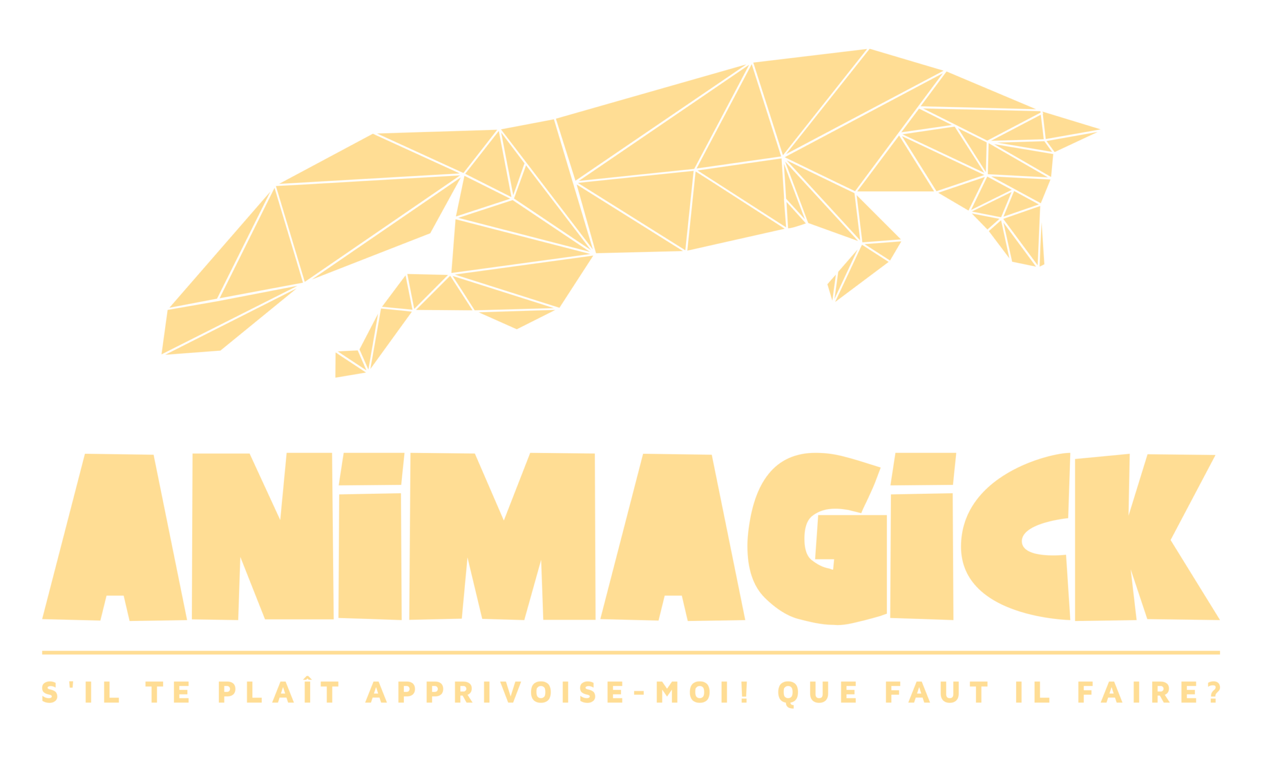 Animagick