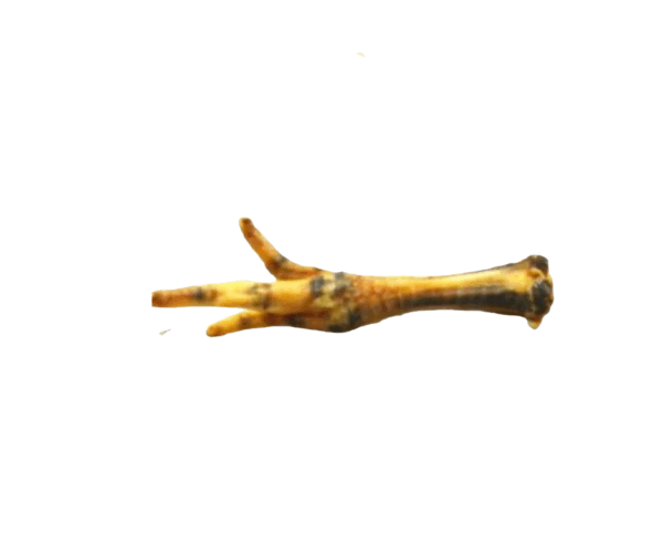 Pattes de poulet Allemand – Image 4