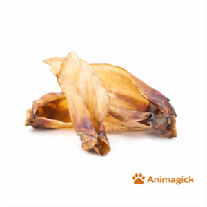 Oreille de boeuf avec base Allemande