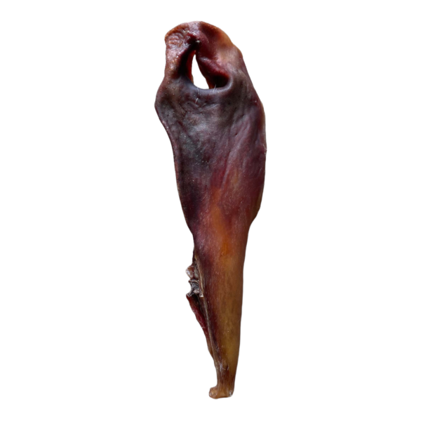 Joue de boeuf xxl