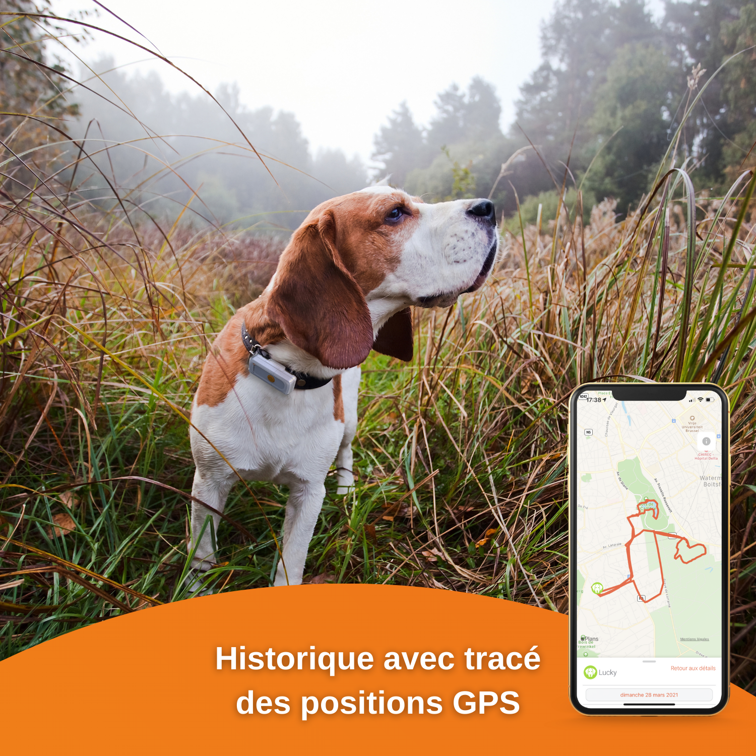 Collier GPS pour chien – Weenect Dogs 2 - Suivi GPS en temps réel