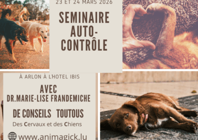  » L’art de se contenir : le vrai visage de l’auto-contrôle chez le chien « 