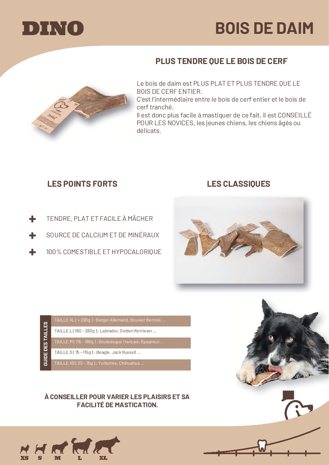 Bois de daim sauvage - Dino - Évident – Image 2