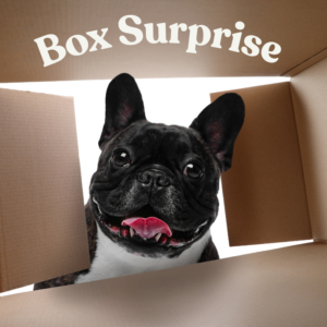 Box surprise  20€