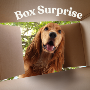 Box surprise  55 €