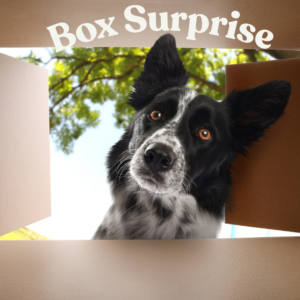 Box Surprise Extra 90€