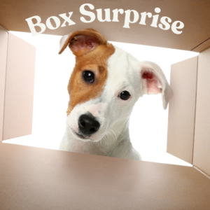 Box surprise  35€