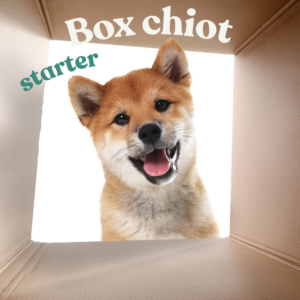Box chiot starter