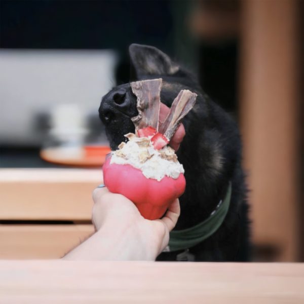 Cupcake L Soda Pup – Image 6