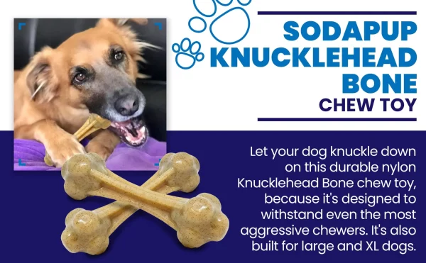 KNUCKLE BONE Soda Pup – Image 6