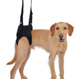 Harnais de soutien orthopédique Vetlando