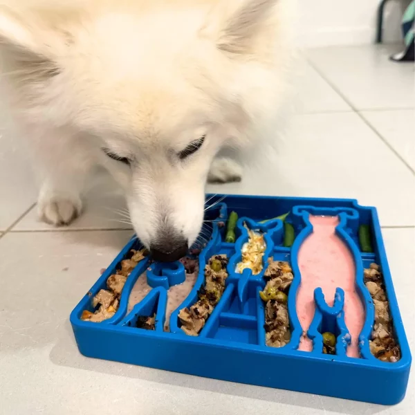 Plateau d'enrichissement eTray pour chiens Waiting Dogs Design Soda Pup – Image 3