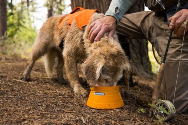 Gamelle pliable pour chien - Ruffwear – Image 3