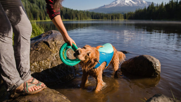 Hydro PlaneTM Toy Ruffwear – Image 8