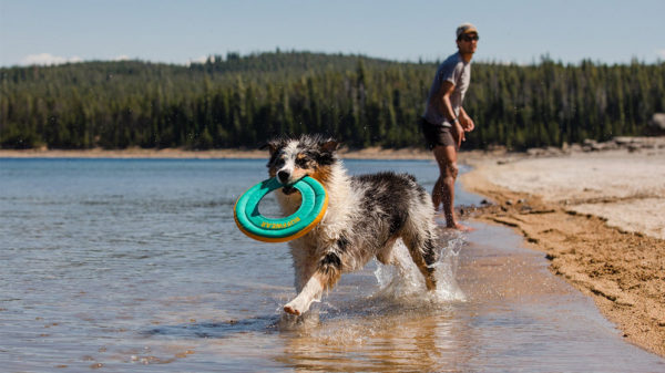 Hydro PlaneTM Toy Ruffwear