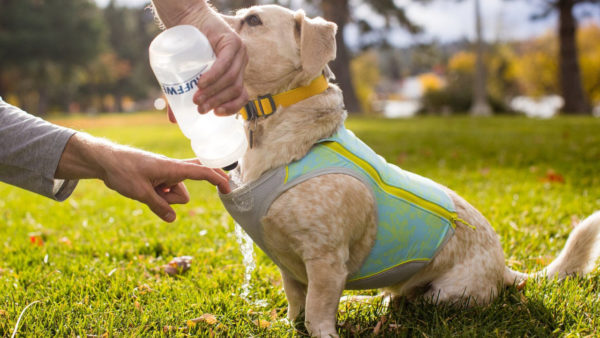 Swamp Cooler Zip Vest  Ruffwear