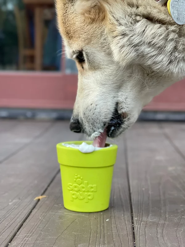 Le pot de fleur Soda Pup – Image 3