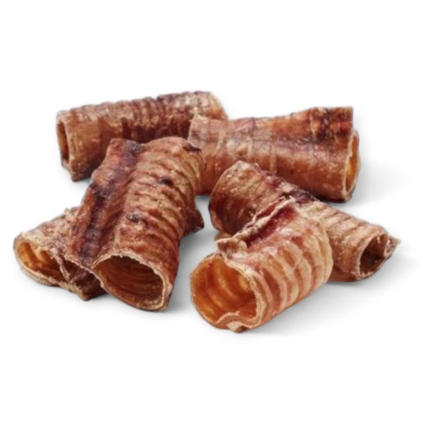 Tracheé de boeuf en morceaux 250 GR AKYRA – Image 2