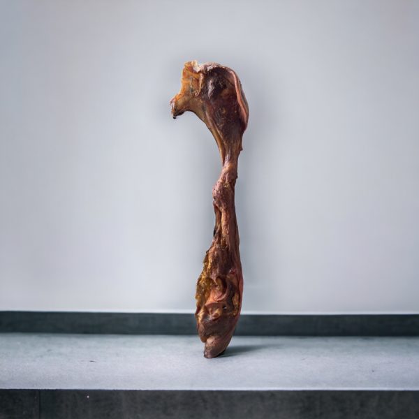 Museau de boeuf + Joue /  40 - 80 cm – Image 2