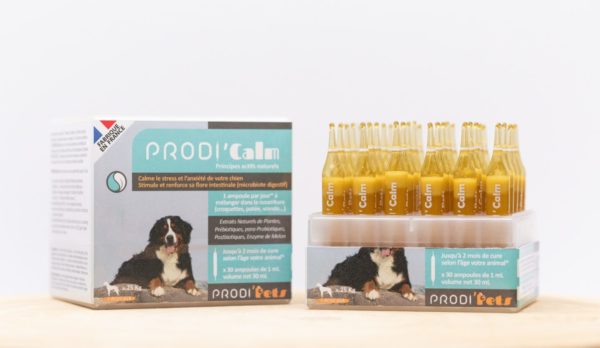 Prodi’Calm Chien – Probiotiques Et Extrait Végétaux Contre Le Stress Et L’anxiété – Image 3