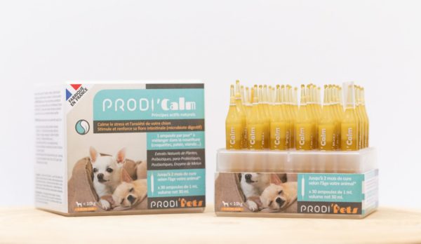 Prodi’Calm Chien – Probiotiques Et Extrait Végétaux Contre Le Stress Et L’anxiété – Image 2