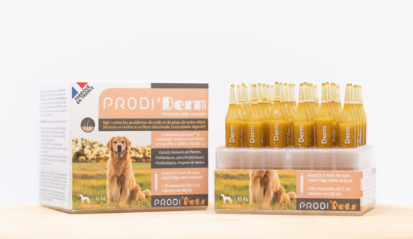 Prodi’Derm Chien – Probiotiques et extrait végétaux pour la Peau et le Poil – Image 3