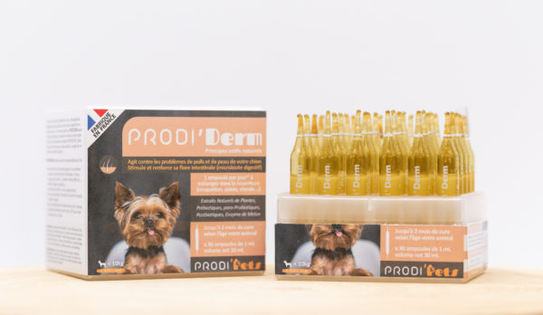 Prodi’Derm Chien – Probiotiques et extrait végétaux pour la Peau et le Poil – Image 2