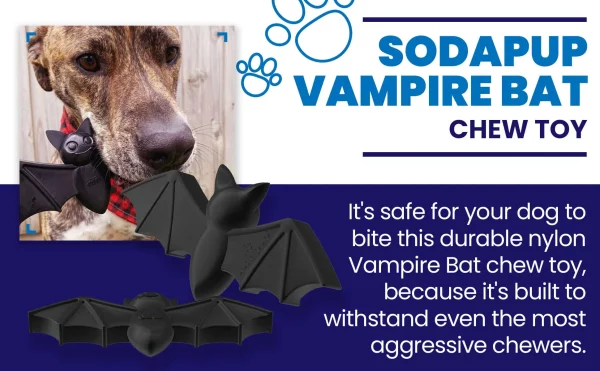 Vampire Bat Soda Pop M – Image 4