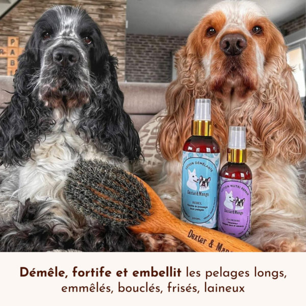 Lotion démêlante Rebel Dexter et Mango – Image 4