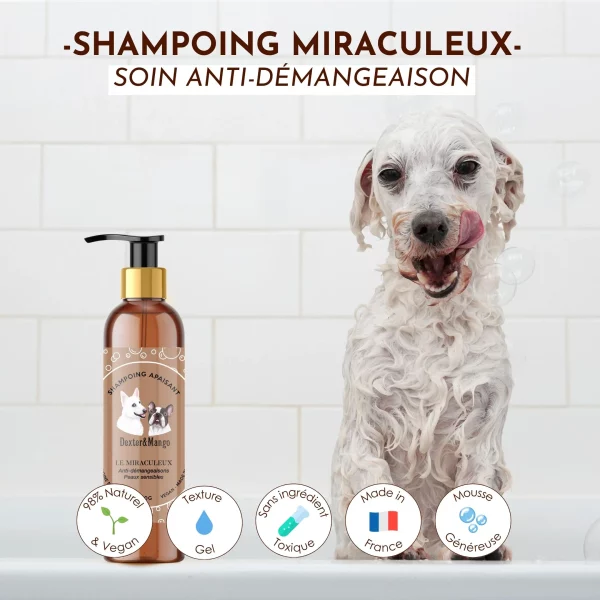 Shampoing liquide Le Miraculeux Dexter et Mango – Image 2