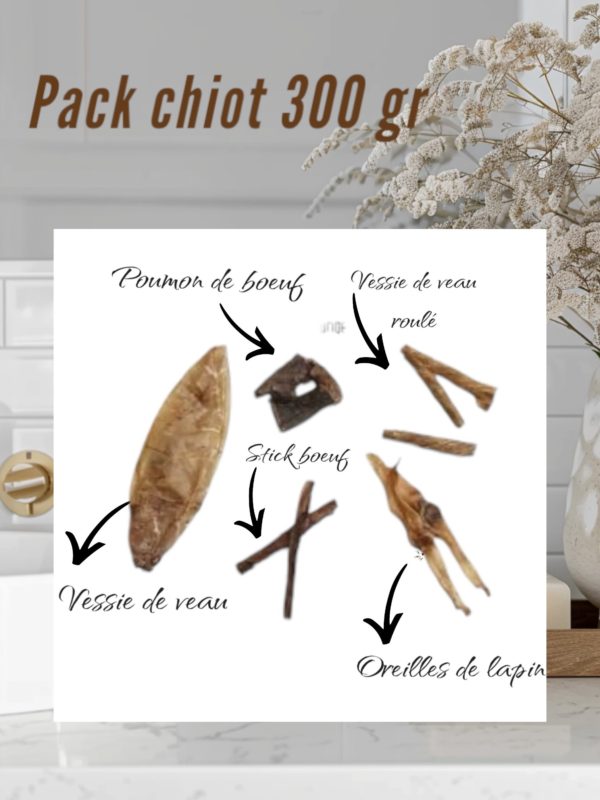 Pack de démarage pour chiot 300 gr – Image 2