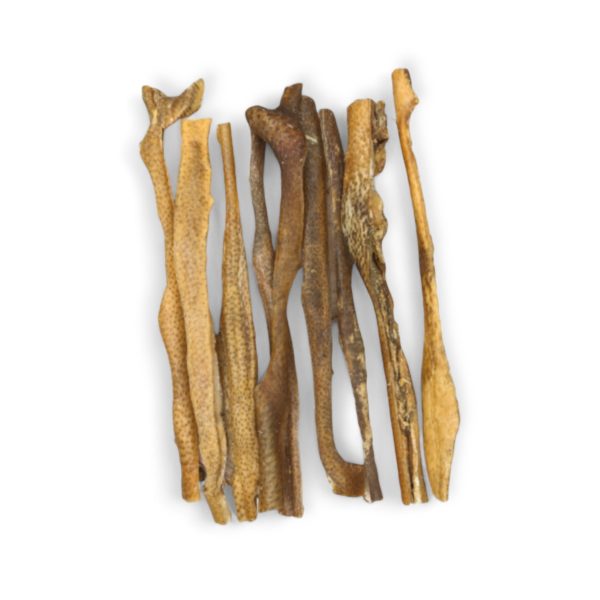Peaux de sanglier  30 cm 500 gr