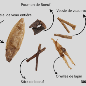 Pack de démarage pour chiot 300 gr