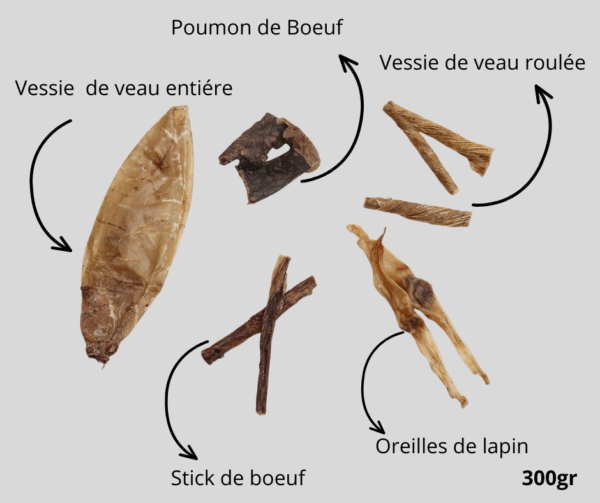 Pack de démarage pour chiot 300 gr