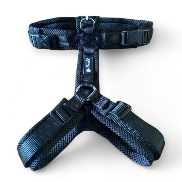 Harnais MESH Y CONFORT - Petlando NOIR – Image 3