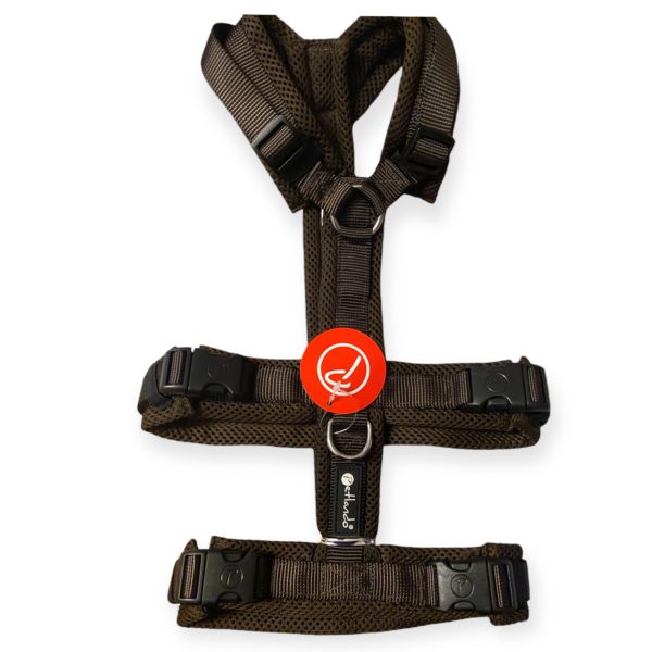 Harnais MESH  Safety- Petlando MOKA – Image 2