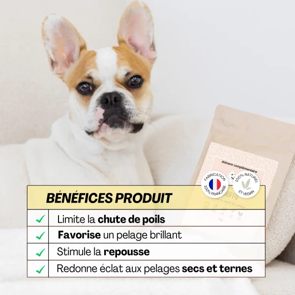 Aliment complémentaire Touffu Dexter &Mango – Image 2