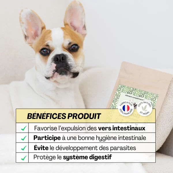 Aliment complémentaire Vermi'selles Dexter & Mango – Image 2