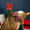 Collier Naughty and I Gnome it-Collier – Image 3