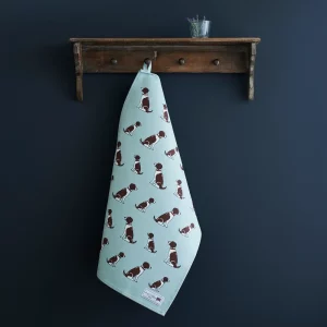 Torchon Bio Springer Spaniel