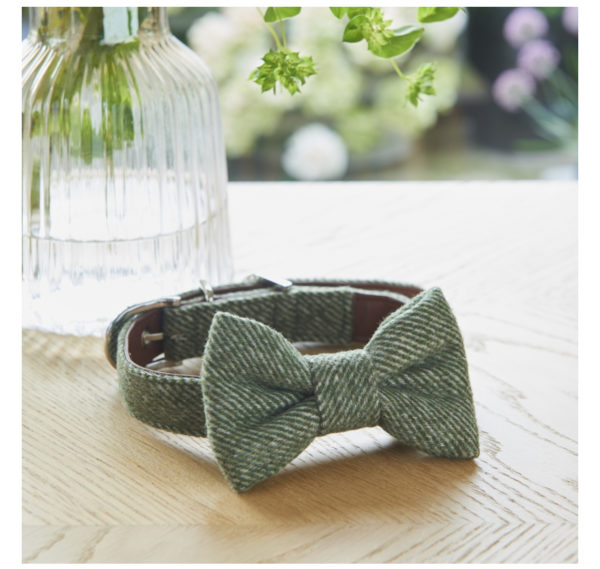 Noeud papillon en tweed vert