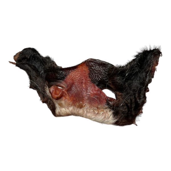 Museau de boeuf avec poils  qualité Prémium – Image 2