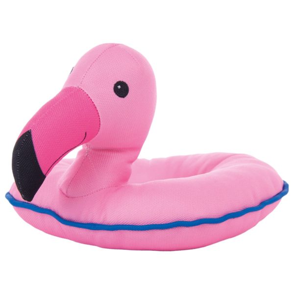 Flamand rose Petlando