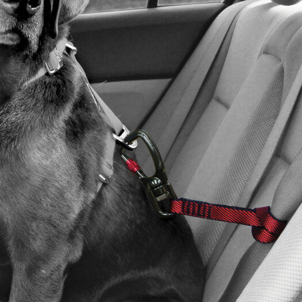 Ceinture de sécurité swivel tether  Kurgo rouge – Image 3