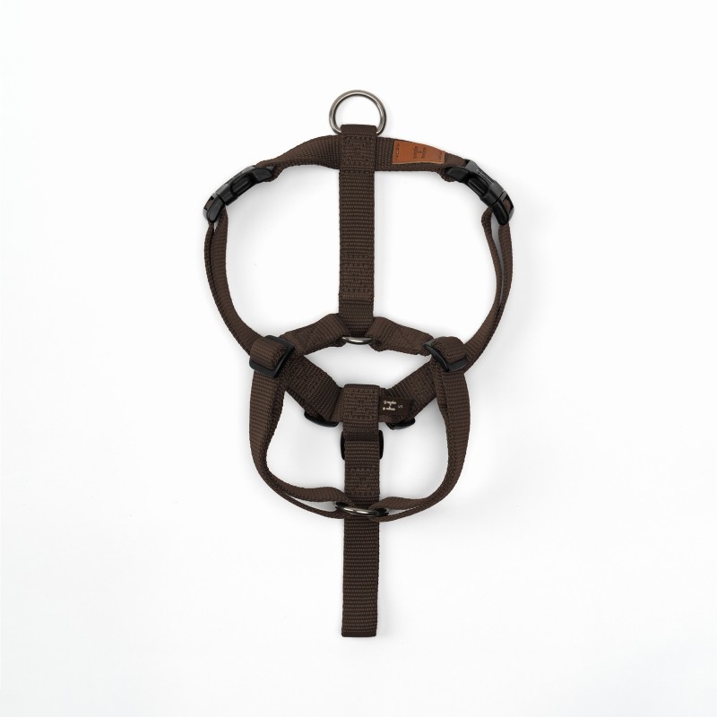 Harnais Haqihana version Chocolat – Image 2