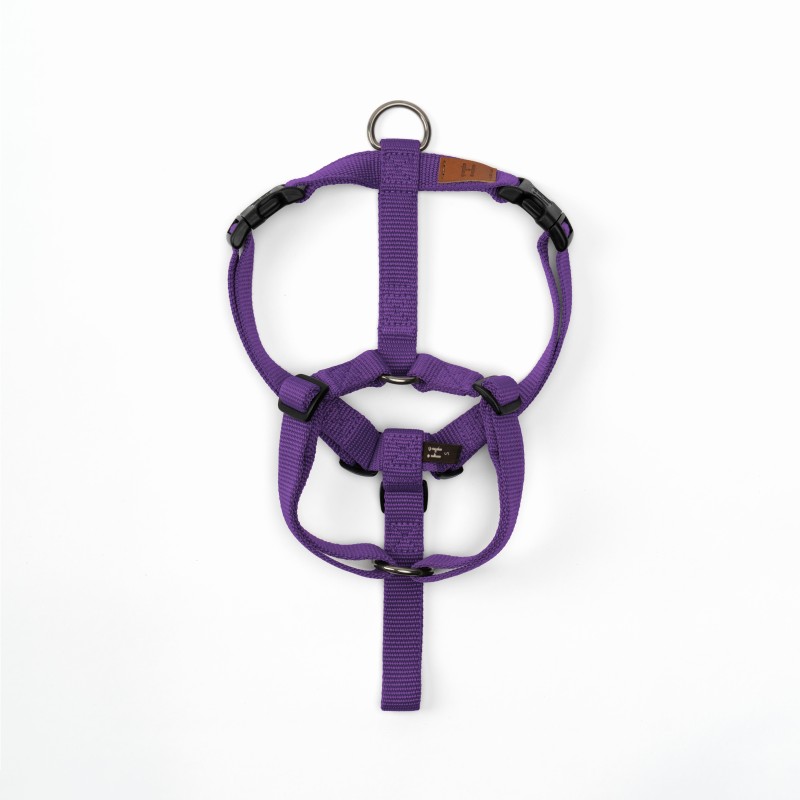 Harnais Haqihana version Mauve – Image 6