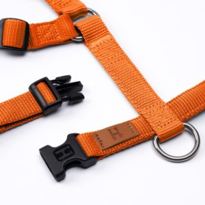Harnais Haqihana version Orange Carotte