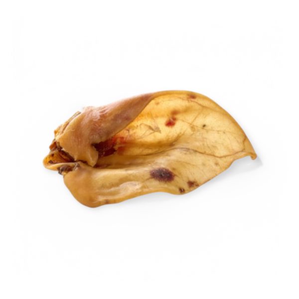 Oreilles de porc XXL